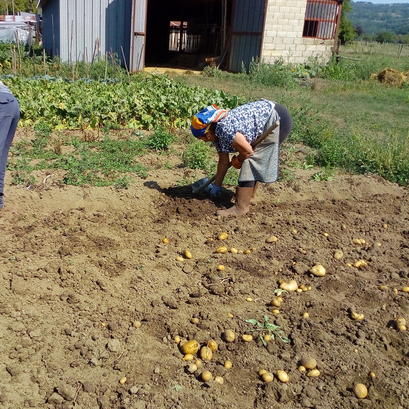 La Piana del Dragone di Volturara